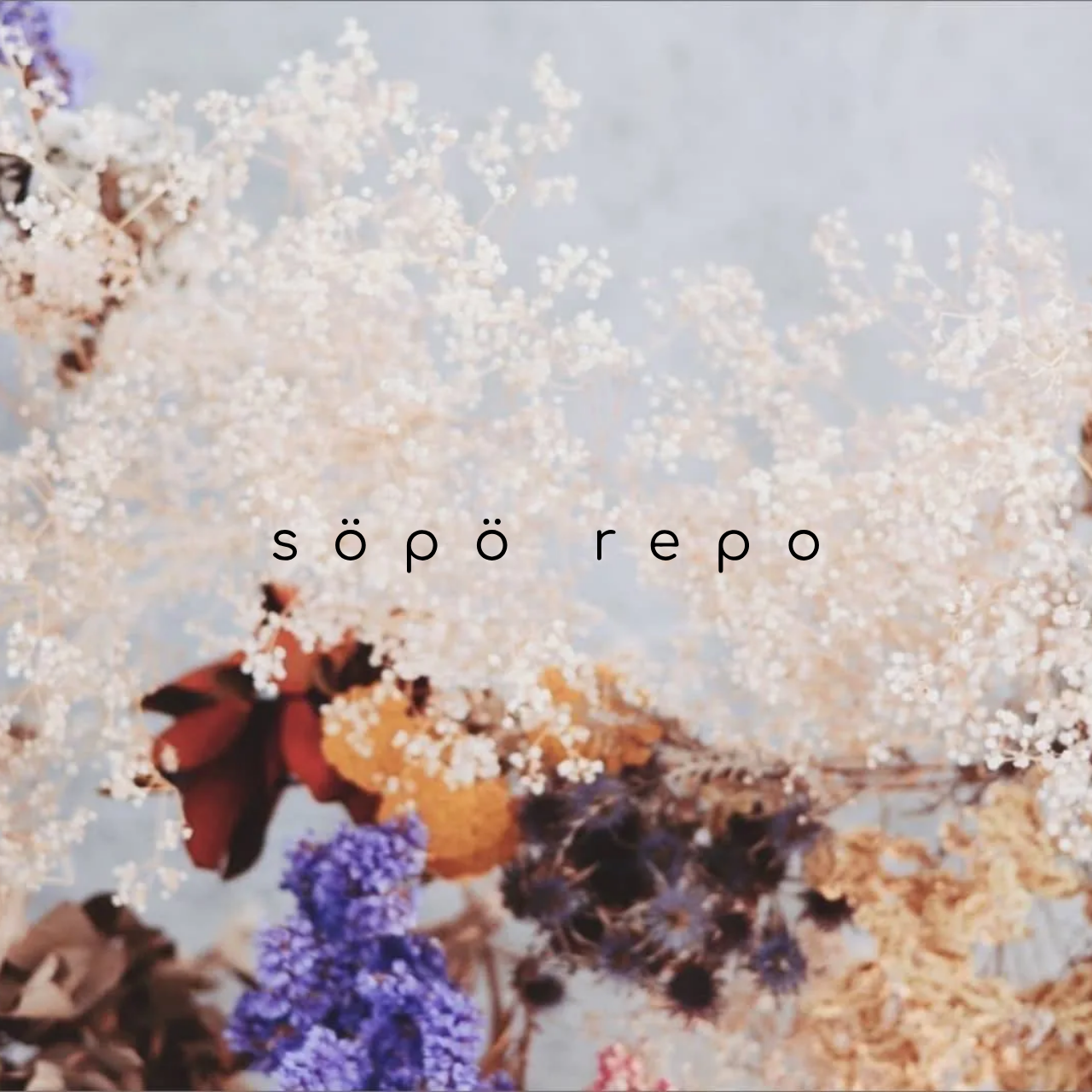 söpö repoのイメージ